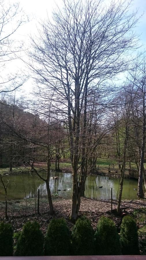 Ferienwohnung Am Ententeich Bad Marienberg Εξωτερικό φωτογραφία
